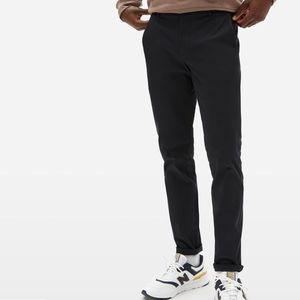 Everlane Renew Performance Chino